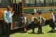 SSS Gurukul School, Sector 154, Noida School BuildingImage 2