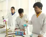Delhi International School Gallery
