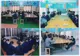 Major Shish Ram Memorial Public School, Dariyapur Khurd, Delhi School BuildingImage 3