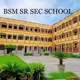 B.S.M. Public School, Nangloi, Delhi School BuildingImage 2