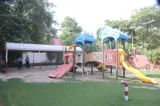 Kangaroo Kids Gallery