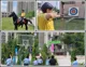 Vanasthali Public School, Zeta I, Greater Noida School BuildingImage 3