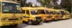 National Public School, Sahibabad, Ghaziabad School BuildingImage 3