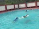 Shigally Hill International Academy, Dehradun, Uttarakhand Boarding School BuildingImage 2