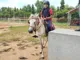Maharishi Vidya Mandir Senior Secondary School, Hosur, Tamil Nadu Boarding School BuildingImage 2