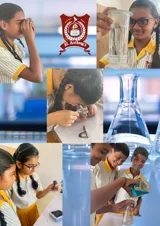 St Anthony's School Gallery