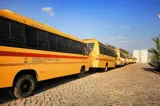 Taurian World School Gallery