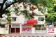 Maple Bear Canadian Pre-School, Sector 1, Greater Noida West School BuildingImage 1