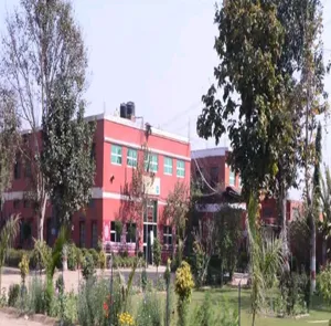 St. Vivekanand Senior Secondary School, Pul Pahladpur, Delhi School Building