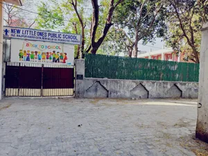 New Little One's Public School, Chhatarpur, Delhi School Building