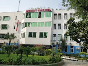 Mount Carmel School, Anand Niketan, Delhi School Building