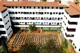 Aryan Presidency School, Nagarbhavi, Bangalore School BuildingImage 1