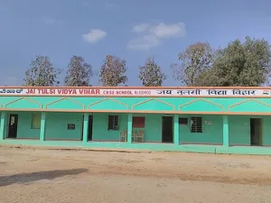 Jai Tulsi Vidya Vihar, Kumbalgodu, Bangalore School Building