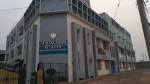 Springbird School, Thana Darwaja, Sonipat School Building