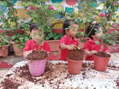 Tatva Pre-Schools, Wakad, Pune School Building