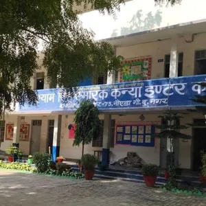Shyam Singh Smarak Inter College, Sarfabad, Noida School Building