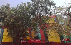 Saplings International Pre-Primary School, Paschim Vihar, Delhi School Building