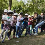 Cyboard School Gallery