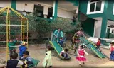New Green Land Ideal Public School Gallery