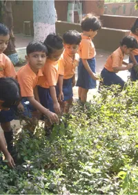 Sanskar Public School - 2