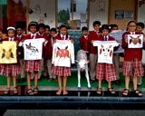 Kent Valley International School Gallery