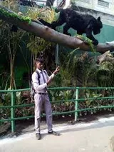 Saraswat Kshatriya Vidyalaya Gallery