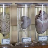 Nargund Independent Pre-University College Gallery