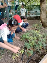 Nishan Public School Gallery