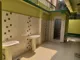 Pratt Memorial School, AJC Bose Road, Kolkata School BuildingImage 3