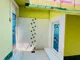 Pratt Memorial School, AJC Bose Road, Kolkata School BuildingImage 2