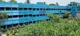 Krishnachandrapur High School (H.S), Krishnachandrapur, Kolkata School BuildingImage 3