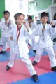 Greenfields Public School, Vivek Vihar, Delhi School BuildingImage 3