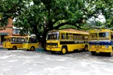 Christ Church Girls High School Gallery