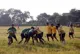 Vikas Vidyalaya, Ranchi, Jharkhand Boarding School BuildingImage 2