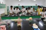 School Of India Gallery