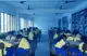 Welland Gouldsmith School (Patuli), Baishnabghata, Kolkata School BuildingImage 3