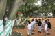 Greenwood High Pre-School, Whitefield, Bangalore School BuildingImage 2