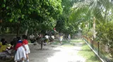 St. Claret School Gallery