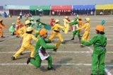 Delhi Public School Gallery