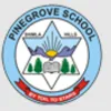 Pinegrove School, Solan, Himachal Pradesh Boarding School Logo