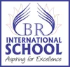 BR International School, Mungeshpur, Delhi School Logo