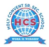 Holy Convent Sr. Sec. School, Uttam Nagar, Delhi School Logo