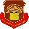 Delhi Convent School, Shalimar Garden, Ghaziabad School Logo