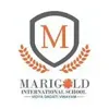 Marigold International School, Kumbalgodu, Bangalore School Logo