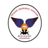 Malgudi Vidyanikethan, Nagarbhavi, Bangalore School Logo