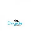 Chrysalis High Marq, Whitefield, Bangalore School Logo