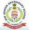 BSF Senior Secondary School, Palaura, Jammu and Kashmir Boarding School Logo