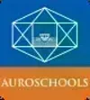 Auro Mirra International School, Halasuru, Bangalore School Logo
