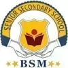B.S.M. Public School, Nangloi, Delhi School Logo