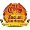 Caelum High School, Undri, Pune School Logo